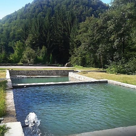Pensiunea Limpedea Baia-Sprie Exterior photo