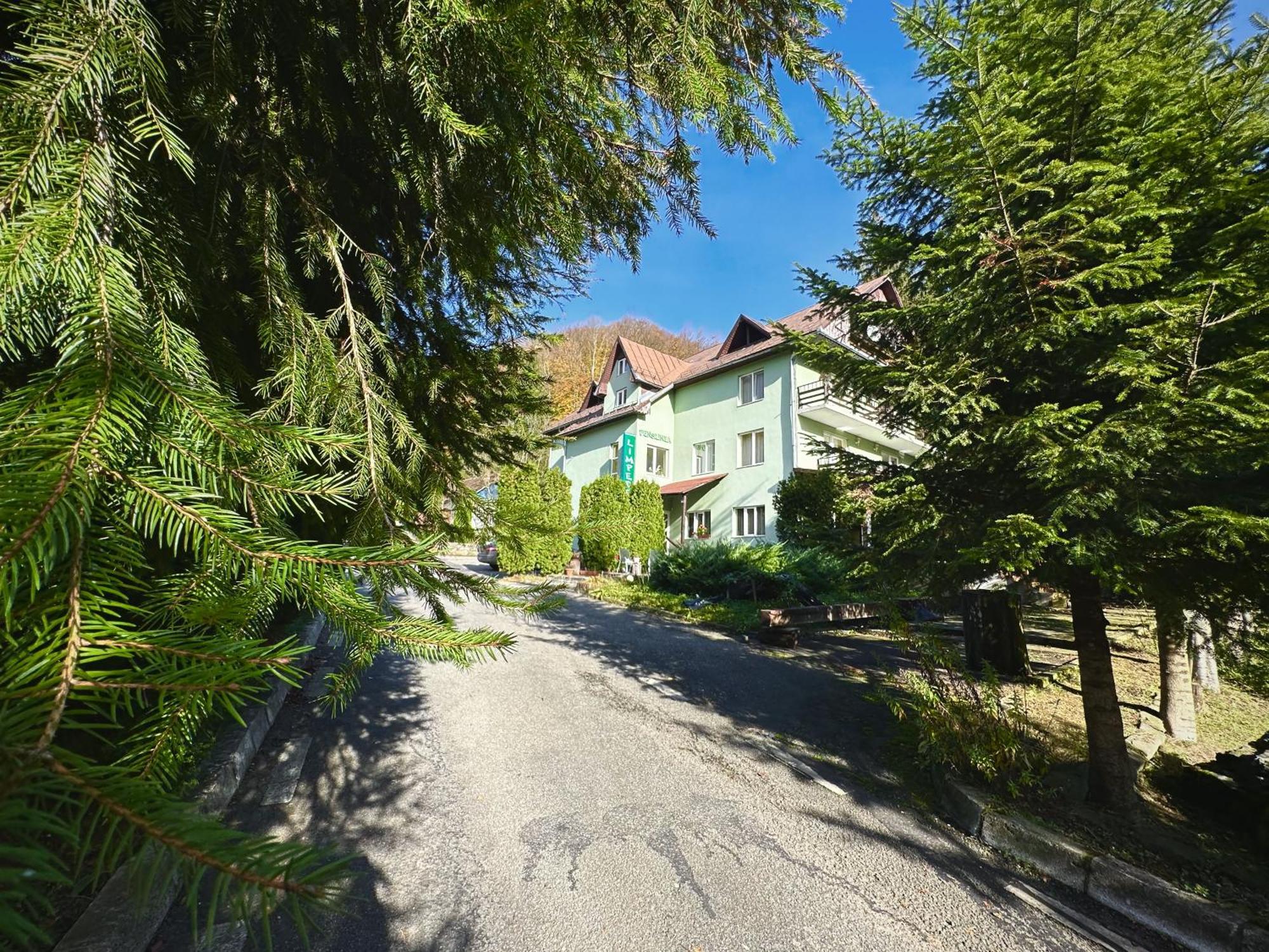 Pensiunea Limpedea Baia-Sprie Exterior photo