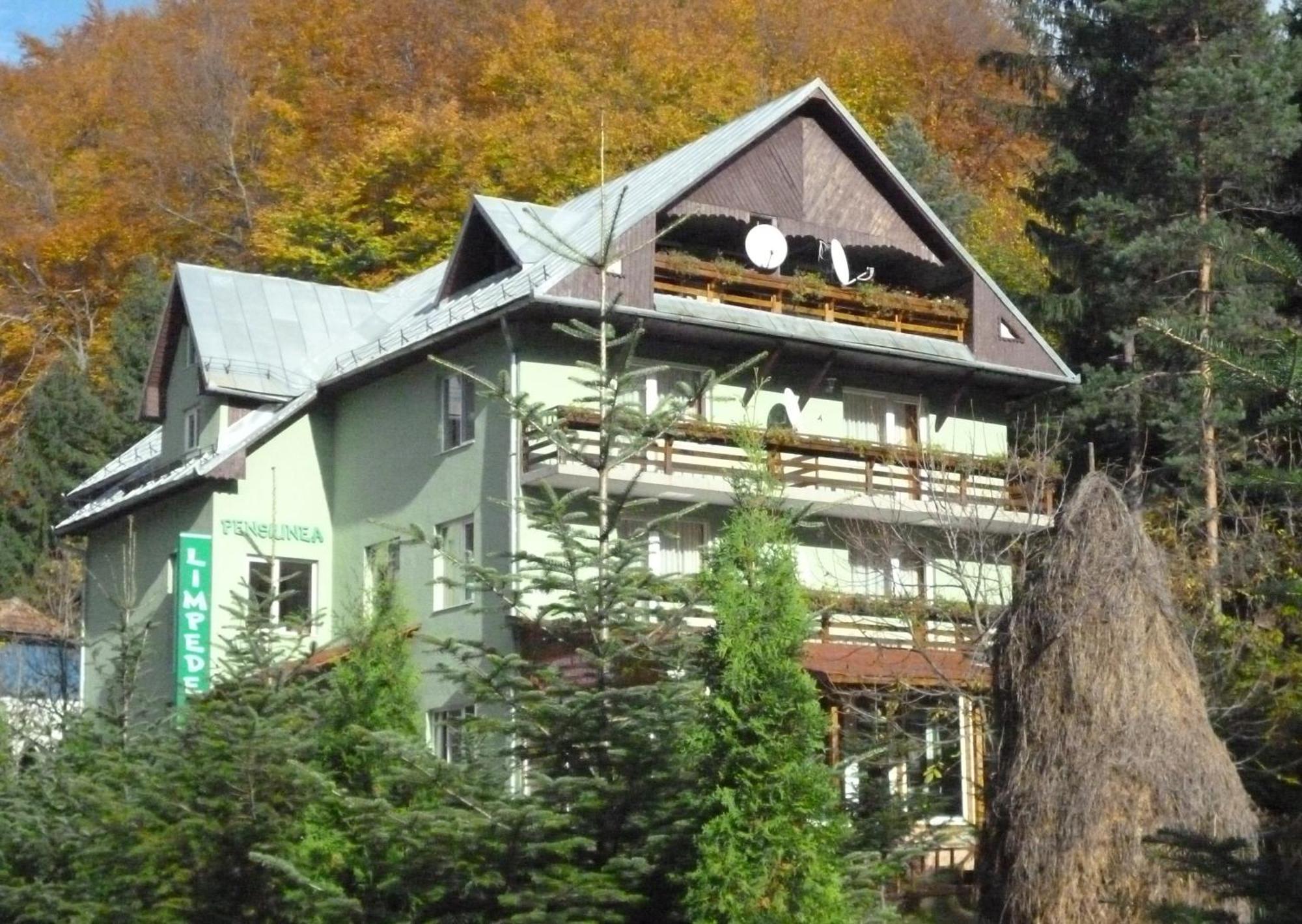 Pensiunea Limpedea Baia-Sprie Exterior photo