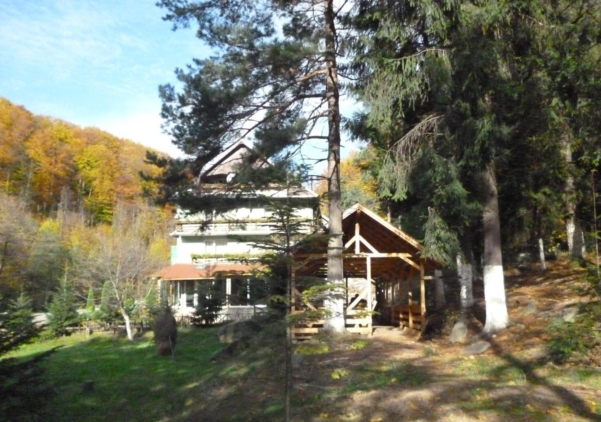 Pensiunea Limpedea Baia-Sprie Exterior photo