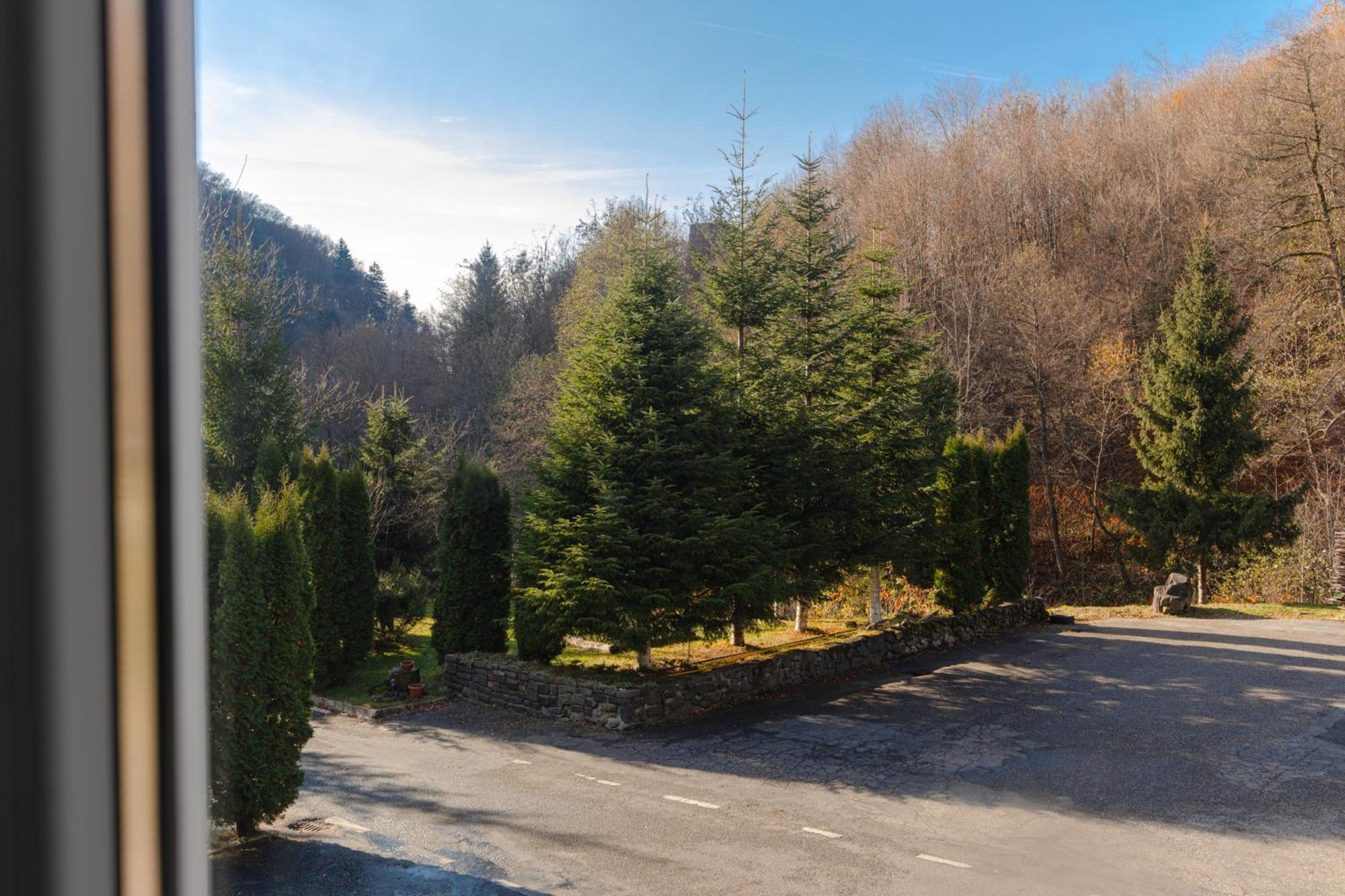 Pensiunea Limpedea Baia-Sprie Exterior photo