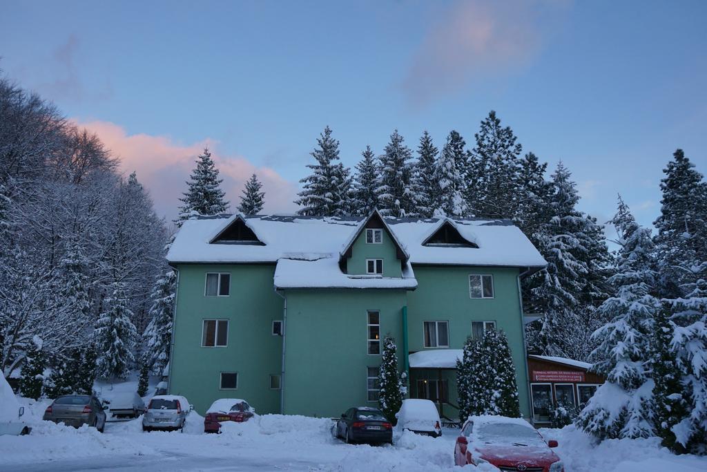 Pensiunea Limpedea Baia-Sprie Exterior photo